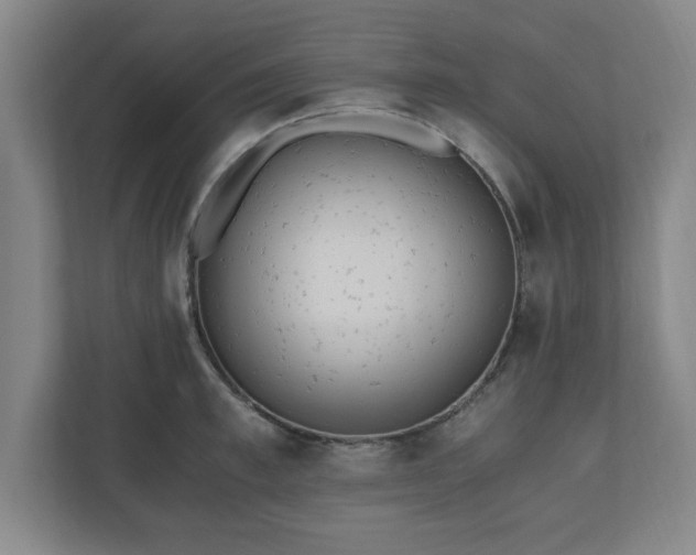 X0000110870997200906251225