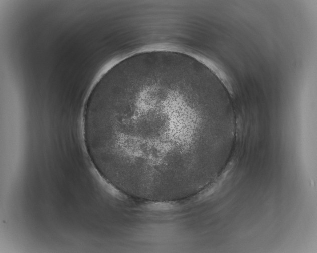 X0000110870998200906251225