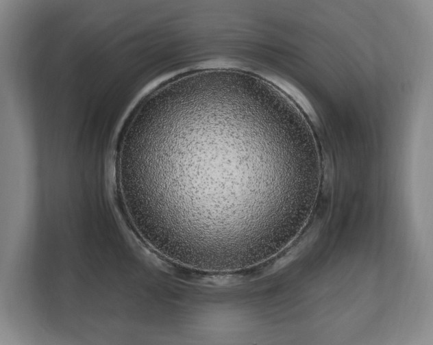 X0000110871000200906251225