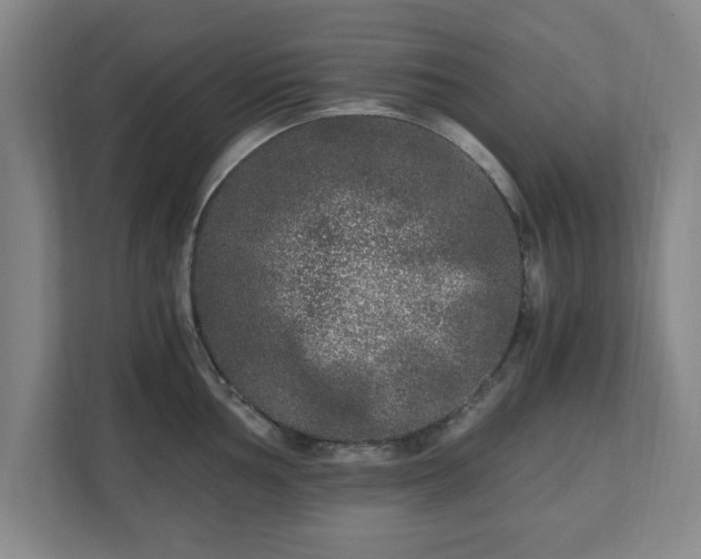 X0000110871002200906251225