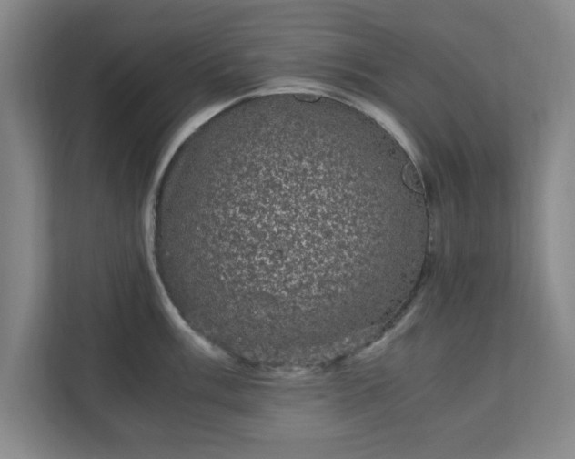 X0000110871003200906251225