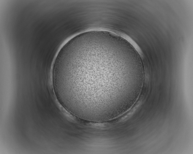 X0000110871004200906251225