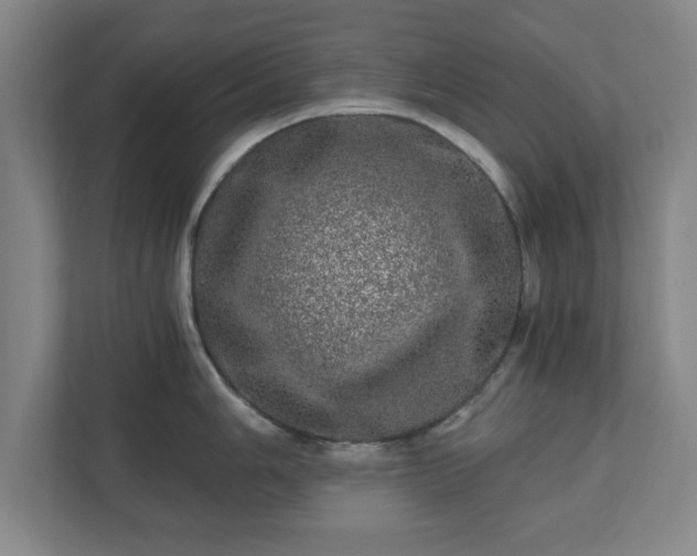 X0000110871006200906251225