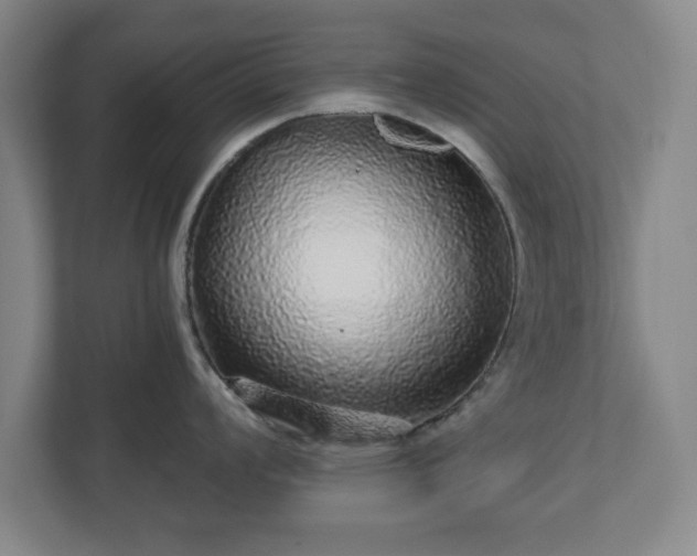 X0000110871008200906251225