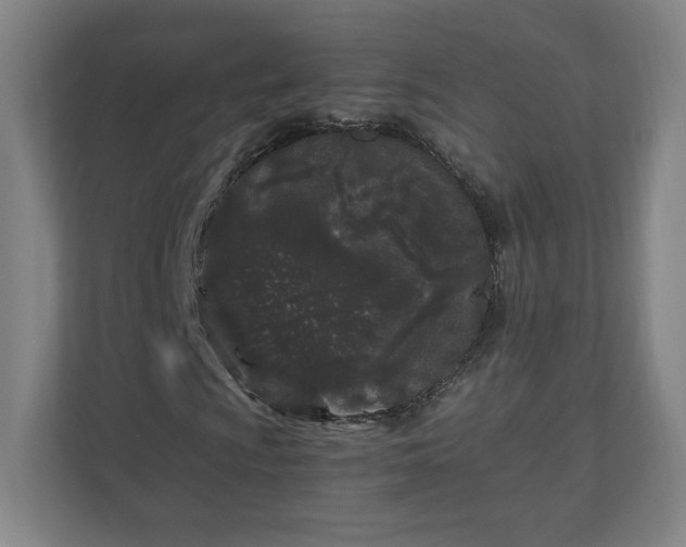 X0000110871009200906251224