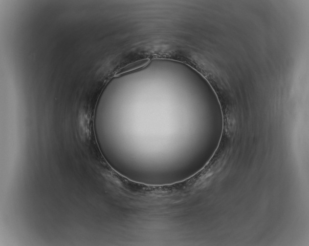 X0000110871010200906251224