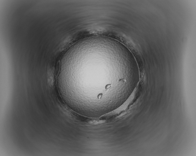 X0000110871012200906251224