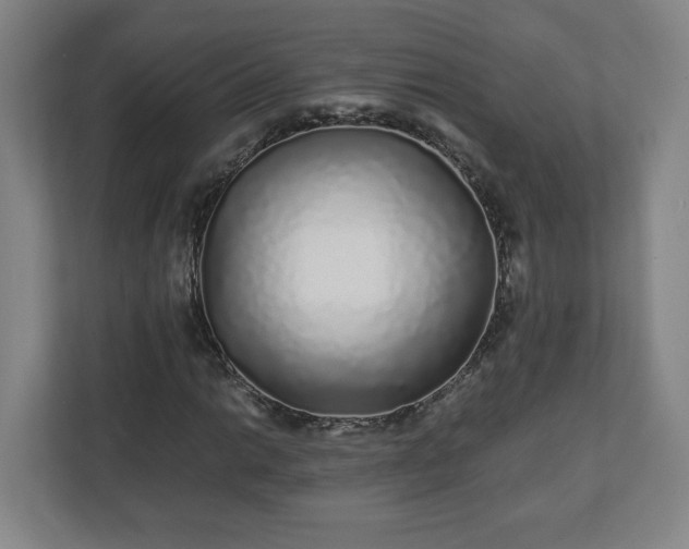 X0000110871014200906251224