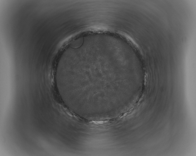 X0000110871016200906251224