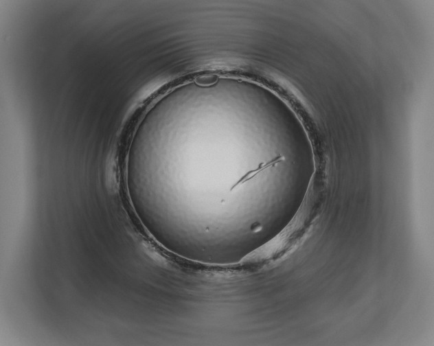 X0000110871018200906251224