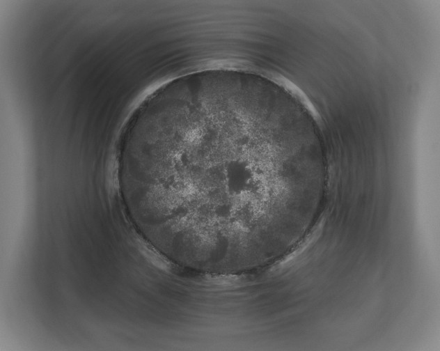 X0000110871019200906251224