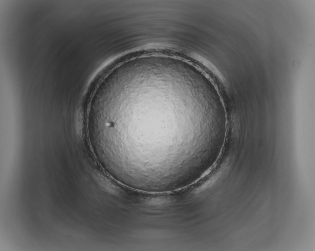 X0000110871021200906251224