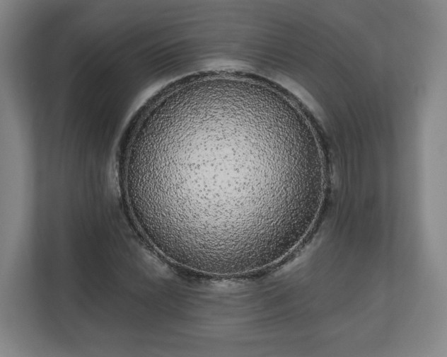 X0000110871022200906251224