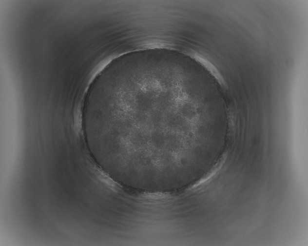 X0000110871023200906251224