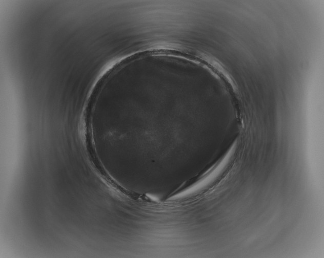 X0000110871024200906251224