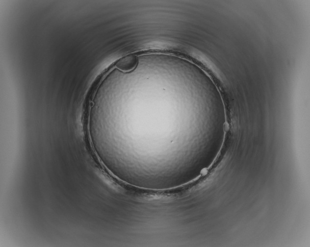 X0000110871026200906251224