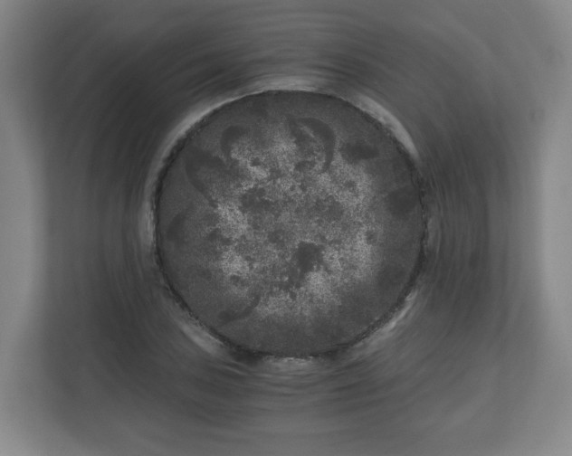 X0000110871027200906251224