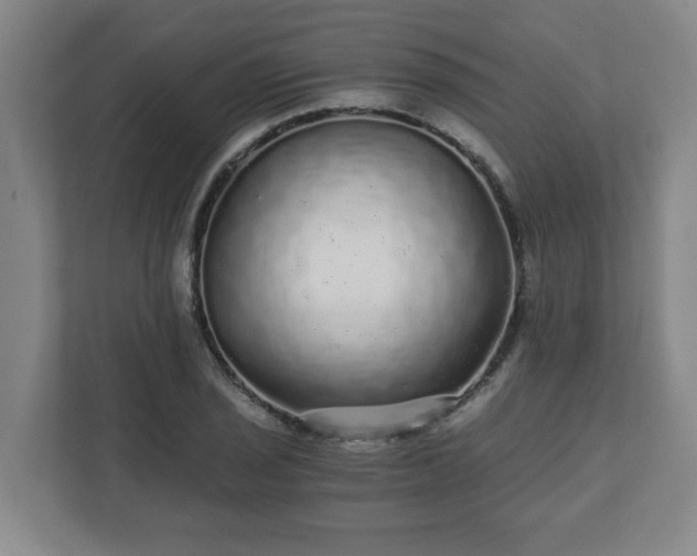 X0000110871029200906251224