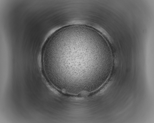 X0000110871030200906251224