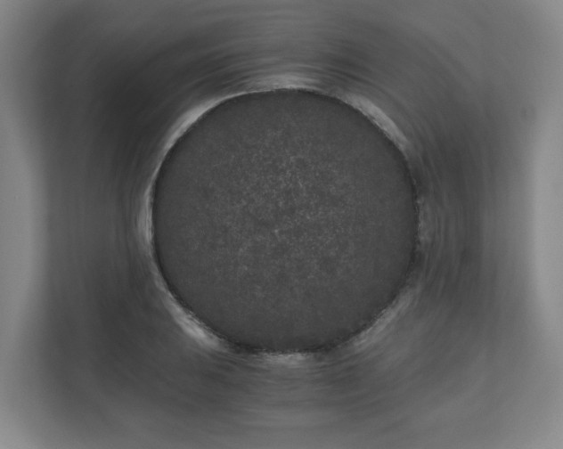 X0000110871031200906251224