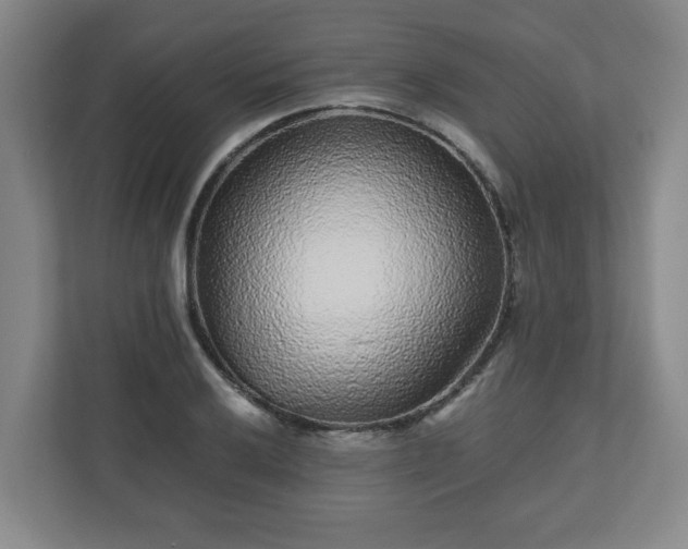 X0000110871032200906251224