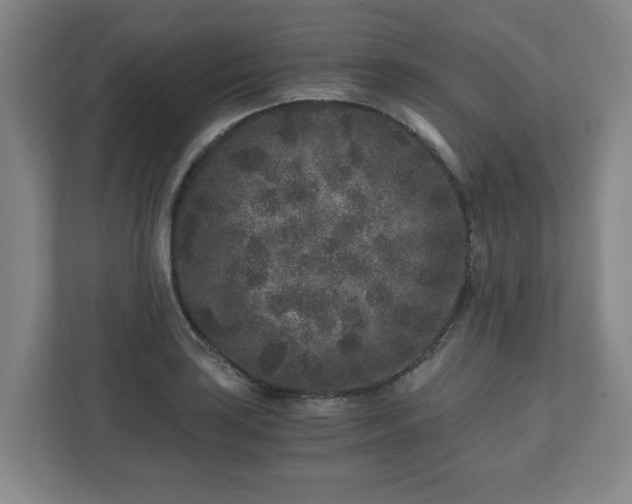 X0000110871035200906251224