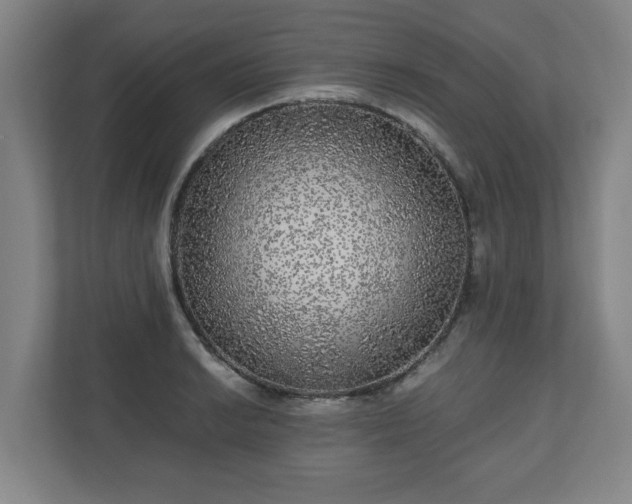 X0000110871038200906251224