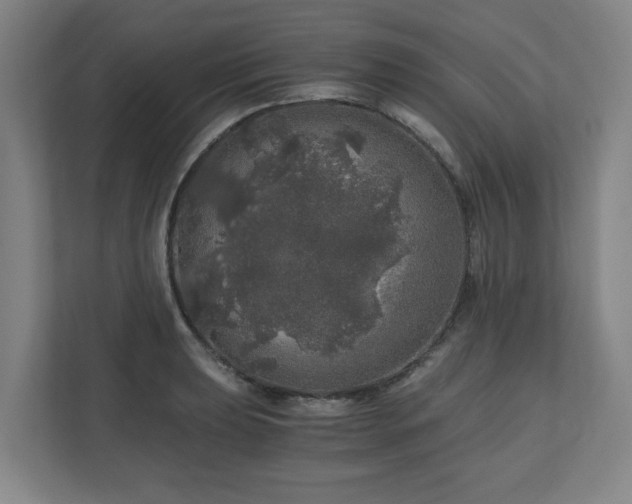 X0000110871039200906251224