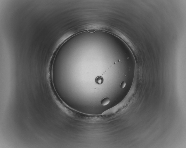 X0000110871042200906251224