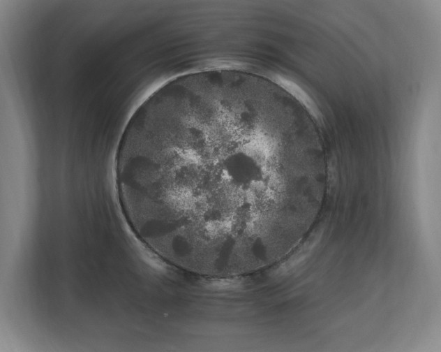 X0000110871047200906251225