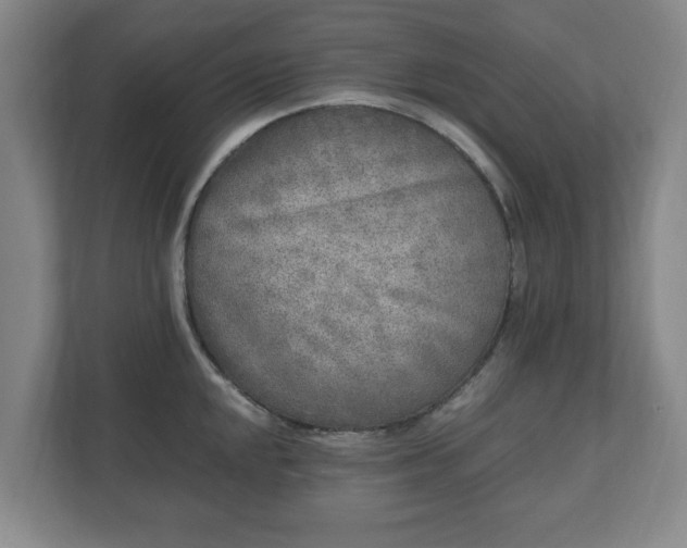 X0000110871048200906251225