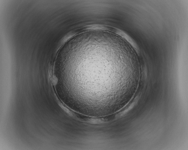 X0000110871049200906251225