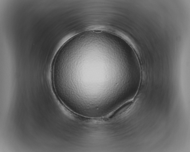 X0000110871050200906251225