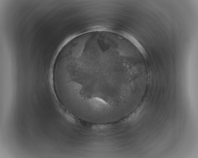 X0000110871051200906251225