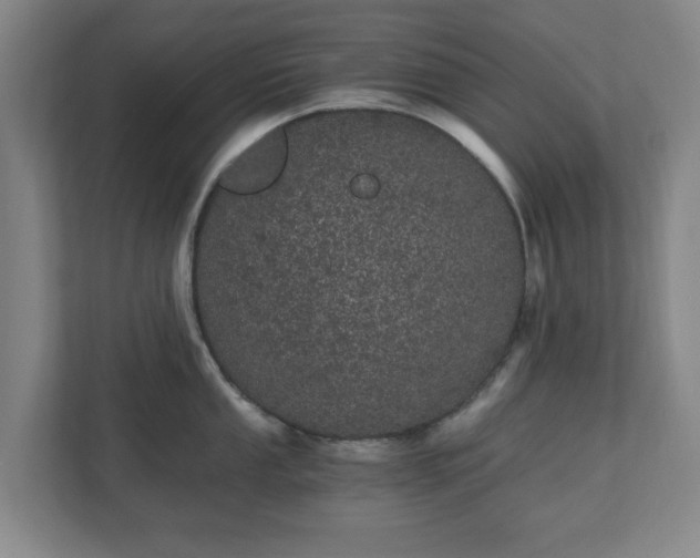 X0000110871053200906251225