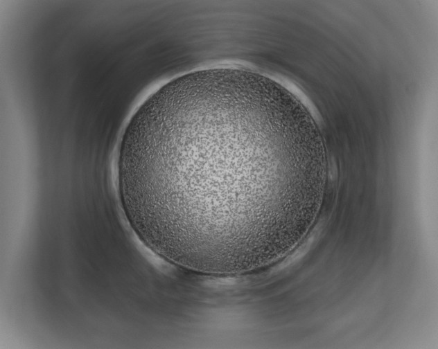 X0000110871054200906251225