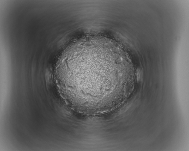 X0000110871059200906251224