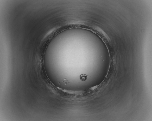 X0000110871064200906251224