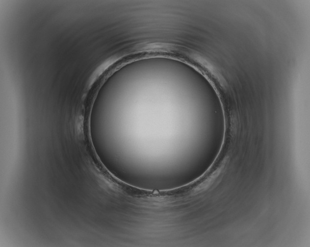 X0000110871066200906251224