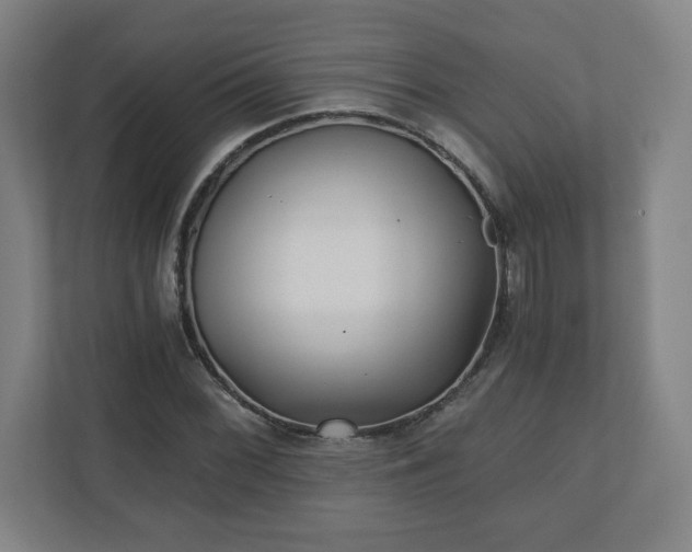 X0000110871068200906251224