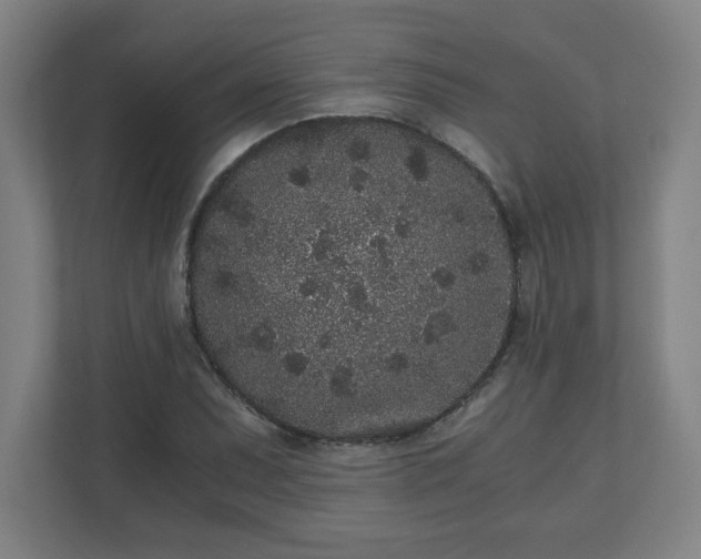 X0000110871071200906251224