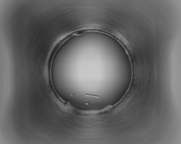 X0000110871072200906251224