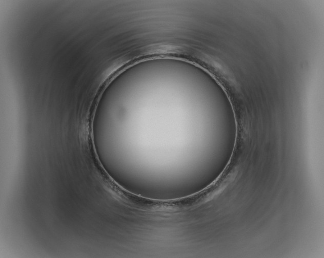 X0000110871073200906251224