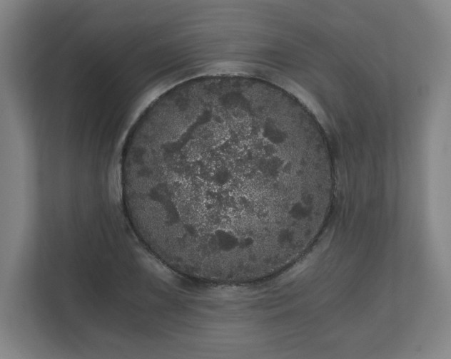 X0000110871075200906251224