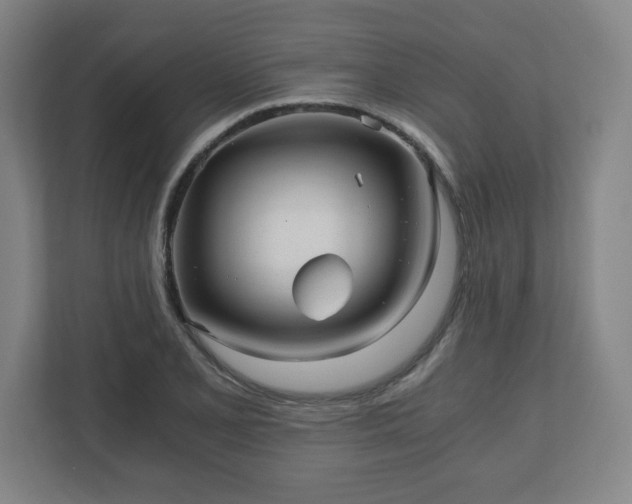 X0000110871077200906251224