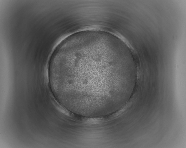 X0000110871078200906251224