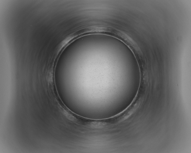 X0000110871081200906251224