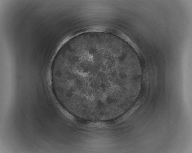 X0000110871083200906251224