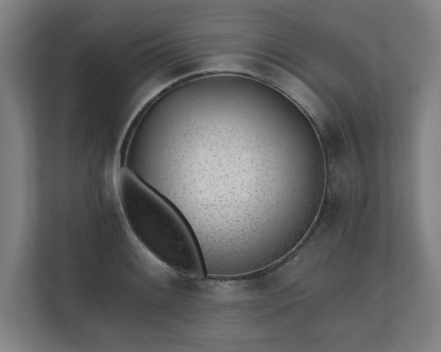 X0000110871084200906251224