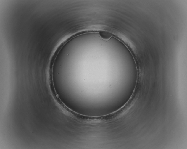 X0000110871085200906251224